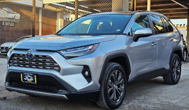 Toyota Rav-4 2024 lleno
