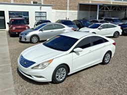 Hyundai Sonata 2012 lleno
