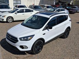 Ford Escape 2017 lleno